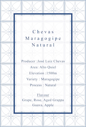 [今月のデイリー]Chevas Maragogipe Natural "Big Boss"