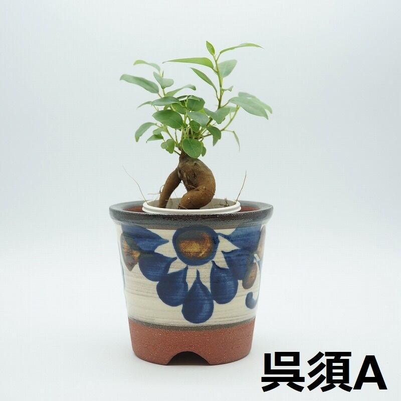 cd50ebb6bbd0078ef108b57bfc2df7