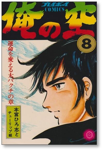 俺の空 本宮ひろ志 [1-9巻 漫画全巻セット/完結] | 漫画全巻 コミック