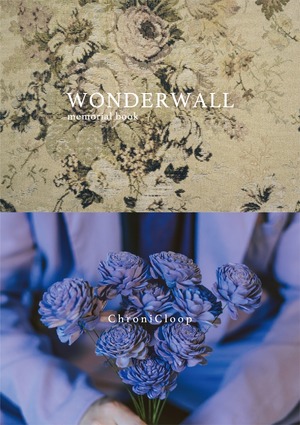 WONDERWALL