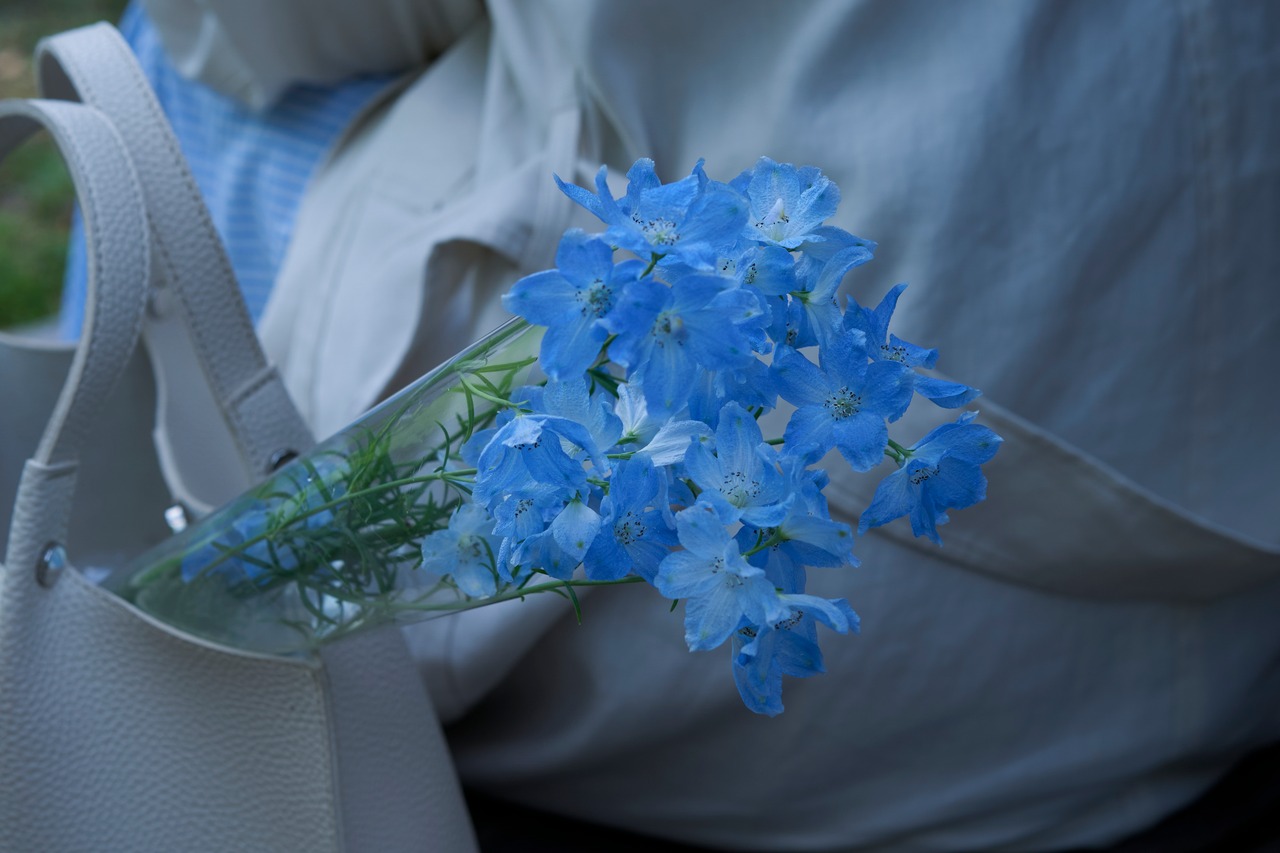 クリスマスセール：DVD「STRANGERS」