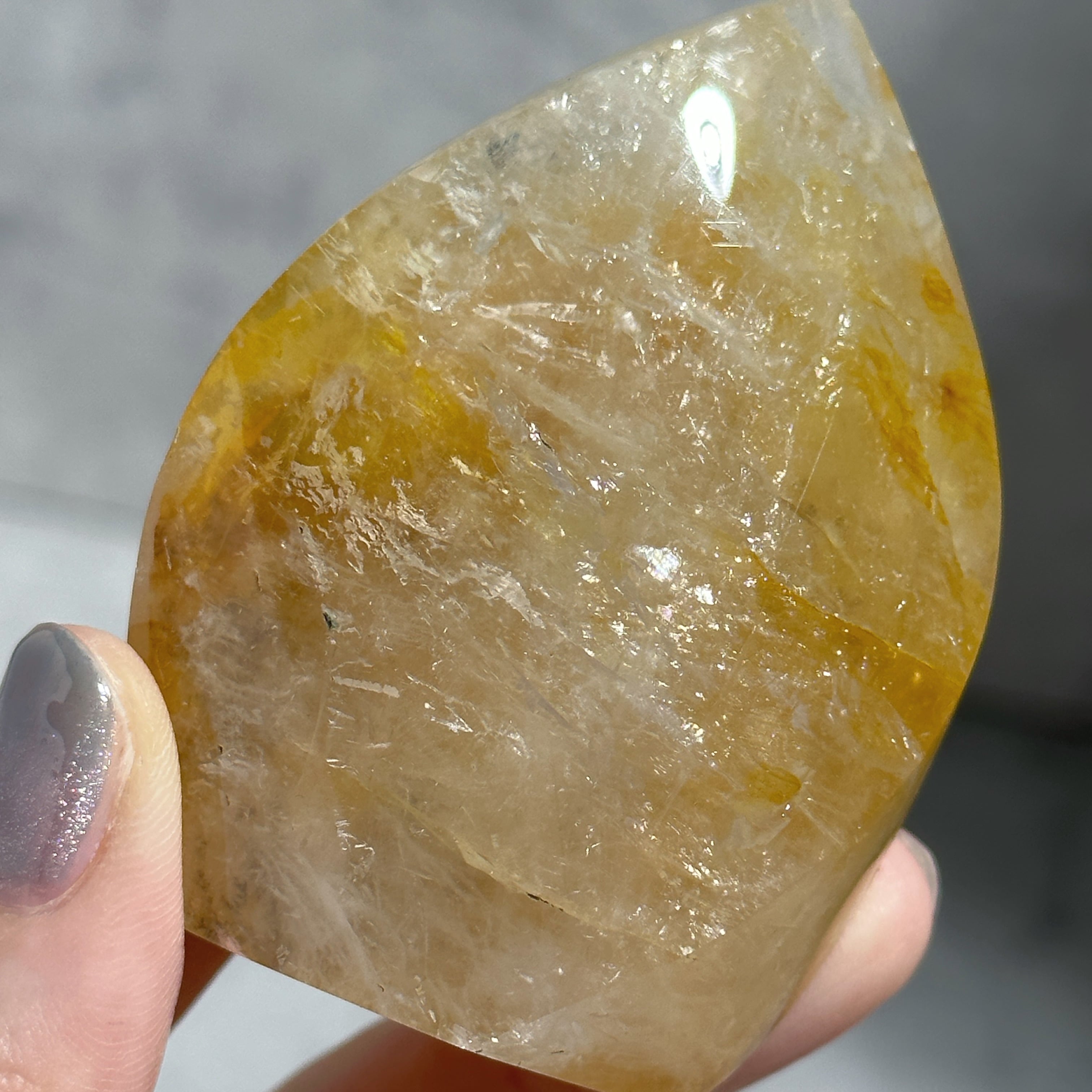 デンドリ入り◎ゴールデンヒーラー フレイム31◇ Golden Healer