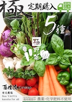 【隔週２週 定期便５種おひとり様用】有元農場『極・お野菜』送料込み(北海道・沖縄＋1000円)