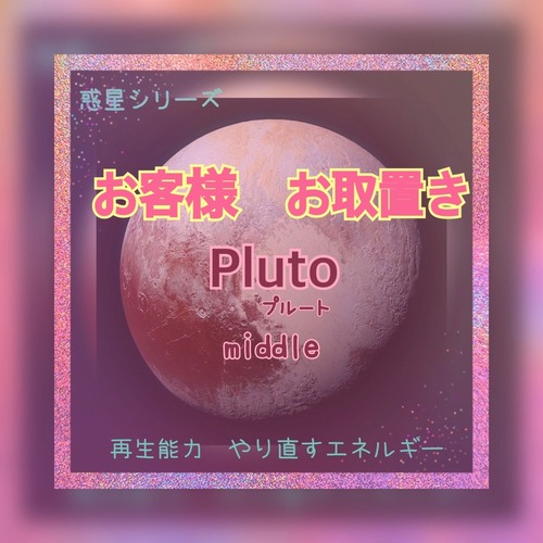 お客様お取置き中　【君は幸せな心を持っている】再販　プルート 【middle】再生能力　やり直すエネルギー