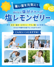 sinca.ism 塩レモンゼリー 15g× 30包入