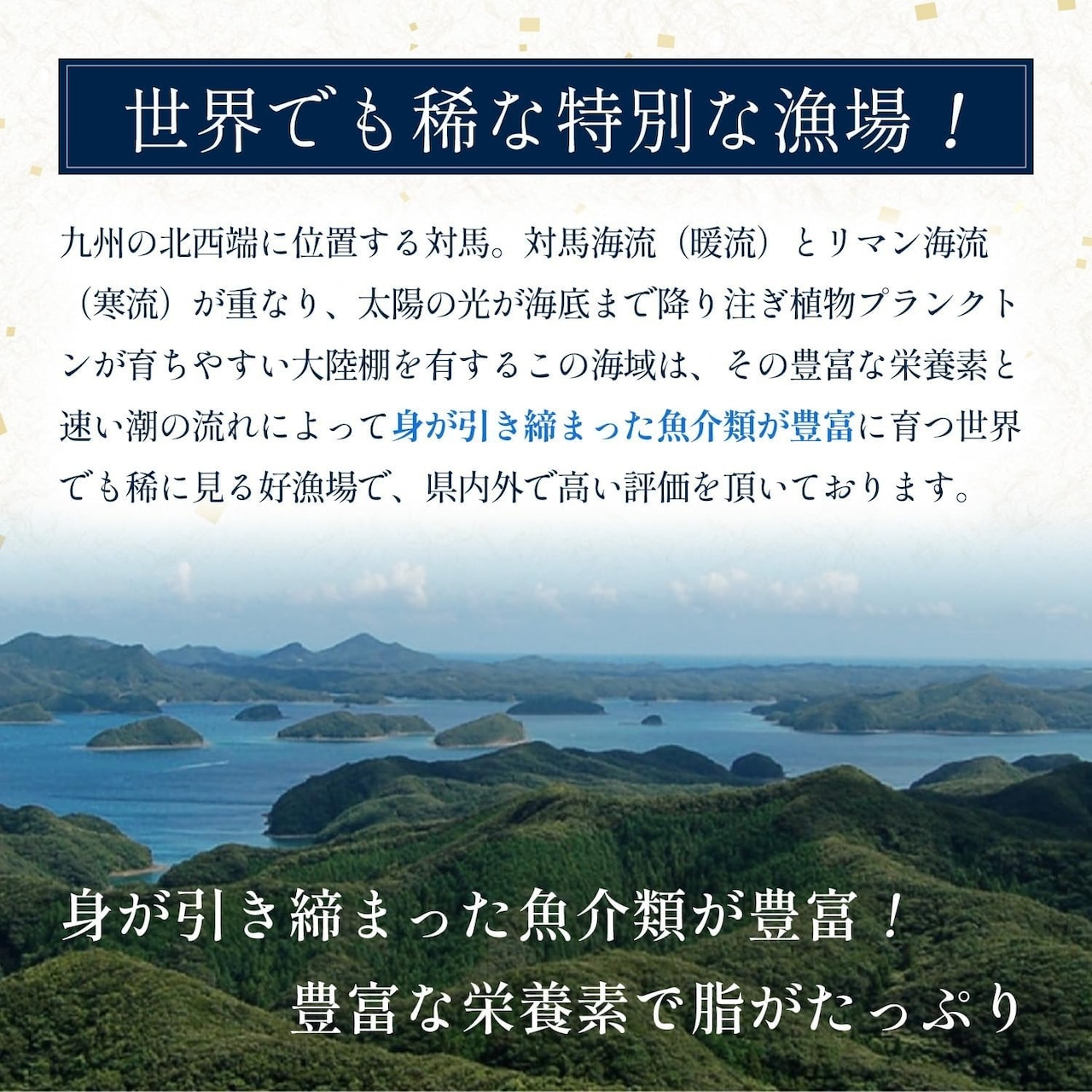 対馬産あじ 骨まで食べる焼き魚 3個セット 対馬産天然あじ使用50g/袋 お手軽に焼き魚 調理不要 化学調味料無添加 保存料不使用 レトルトパウチ
