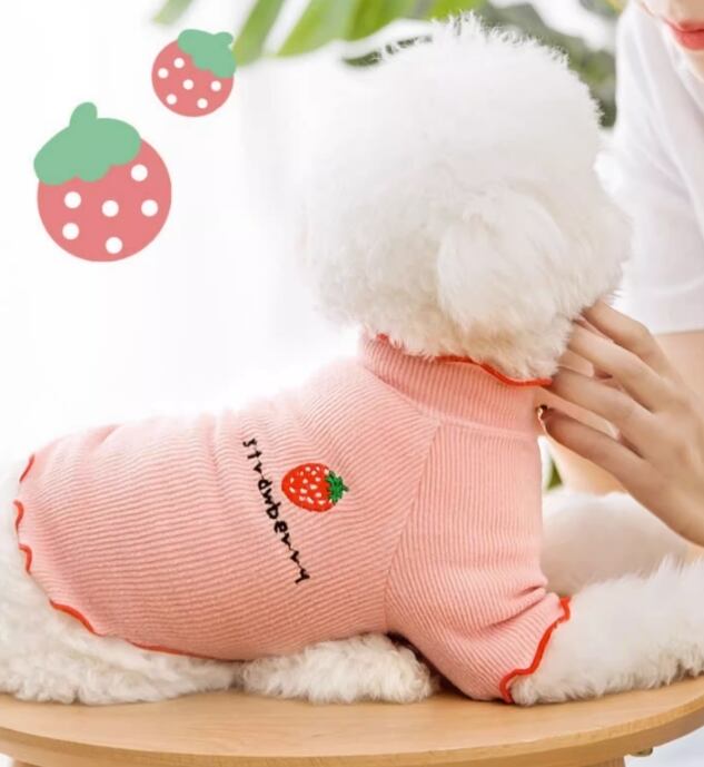 ドッグ 犬 小型犬 室内着 シャツ フリル 襟付き 袖付き 半袖 ベーシック フルーツ いちご 薄手 刺繍 かわいい きれいめ シンプル おしゃれ ラフ エレガント モダン ラブリー キュート プリンセス フェアリー 都会的 ベーシック プレッピー フレンチ シック 無地 春 夏 ロングシーズン サマーシーズン 男の子 女の子 成犬 お出かけ お泊まり パーティー イベント 旅行 公園 休日 バカンス ガーデン カフェ 散歩 ウォーキング おうち 普段使い 清楚 定番