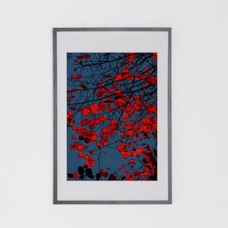 Eva Chupikova #1 Print (black wooden frame 61㎝ × 91㎝付き)