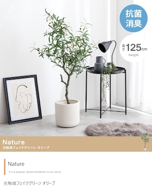 【高さ125cm】Nature 光触媒人工観葉植物 オリーブ