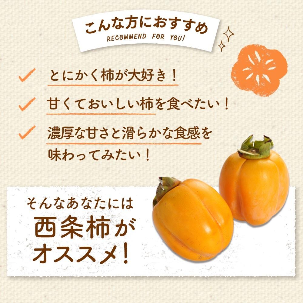 2025年産】【11月発送】西条柿 3L 12玉（2.5kg） たしなみ | 柿の