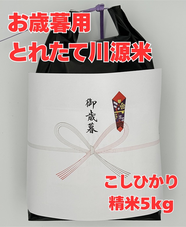 お歳暮11月末発送：とれたて川源米（こしひかり／精米5kg）
