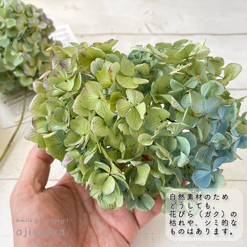 秋色アジサイのドライフラワー 三日月リース 10/11 アースカラーの