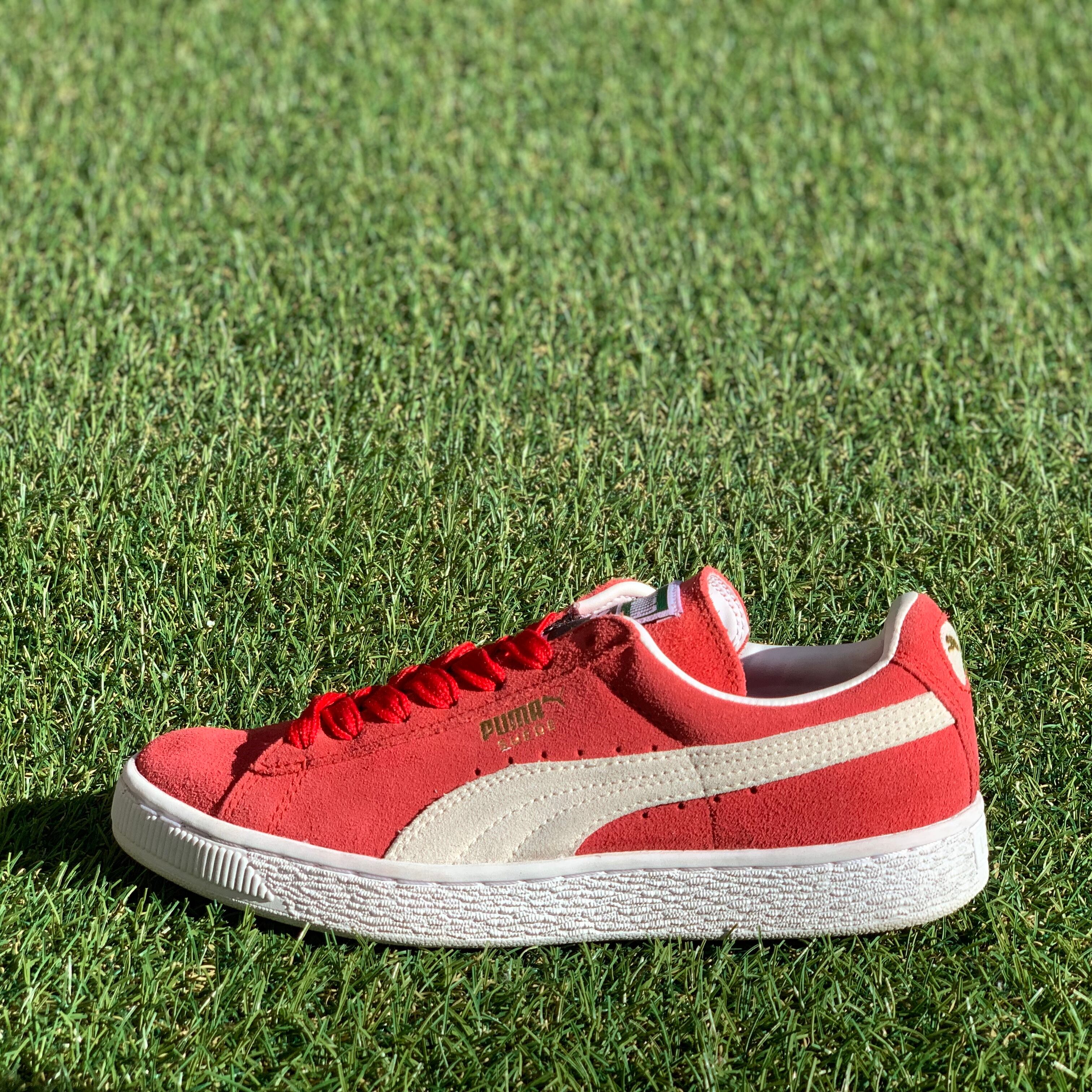 PUMA SUEDE CLASSIC + プーマ スエード クラシック プラス D119