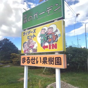 福島・まるせい果樹園の旬を贈る極上完熟桃ギフト【御贈答用】8個入り