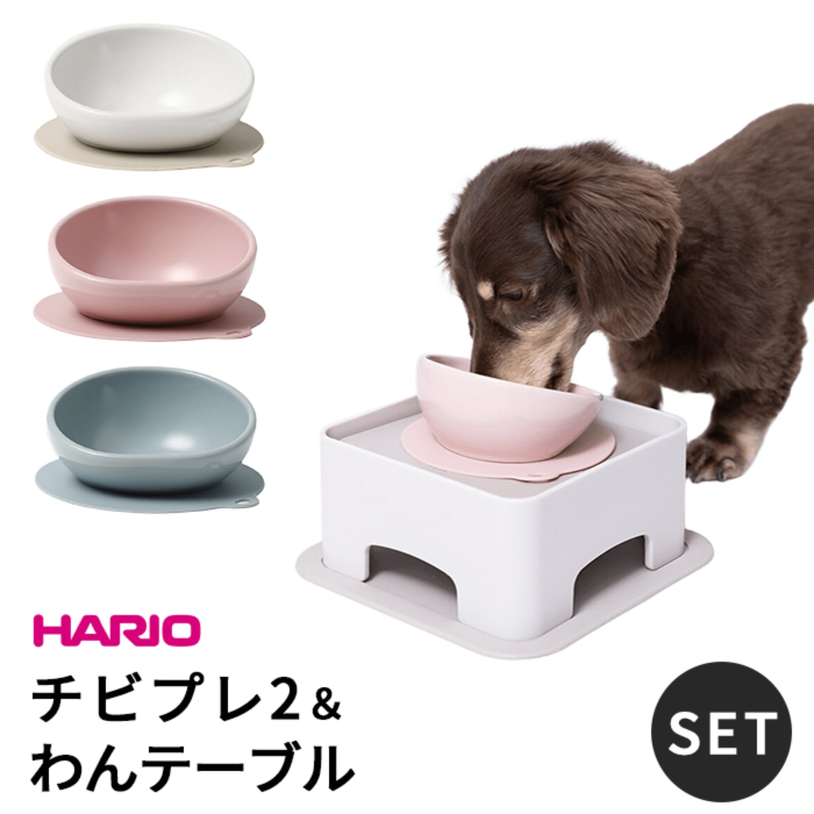 新色追加】HARIO ハリオ チビプレ2 わんテーブル セット 犬 食器