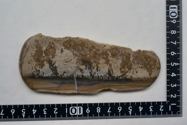 コタム・マーブル　Bristol Picture Stone ③