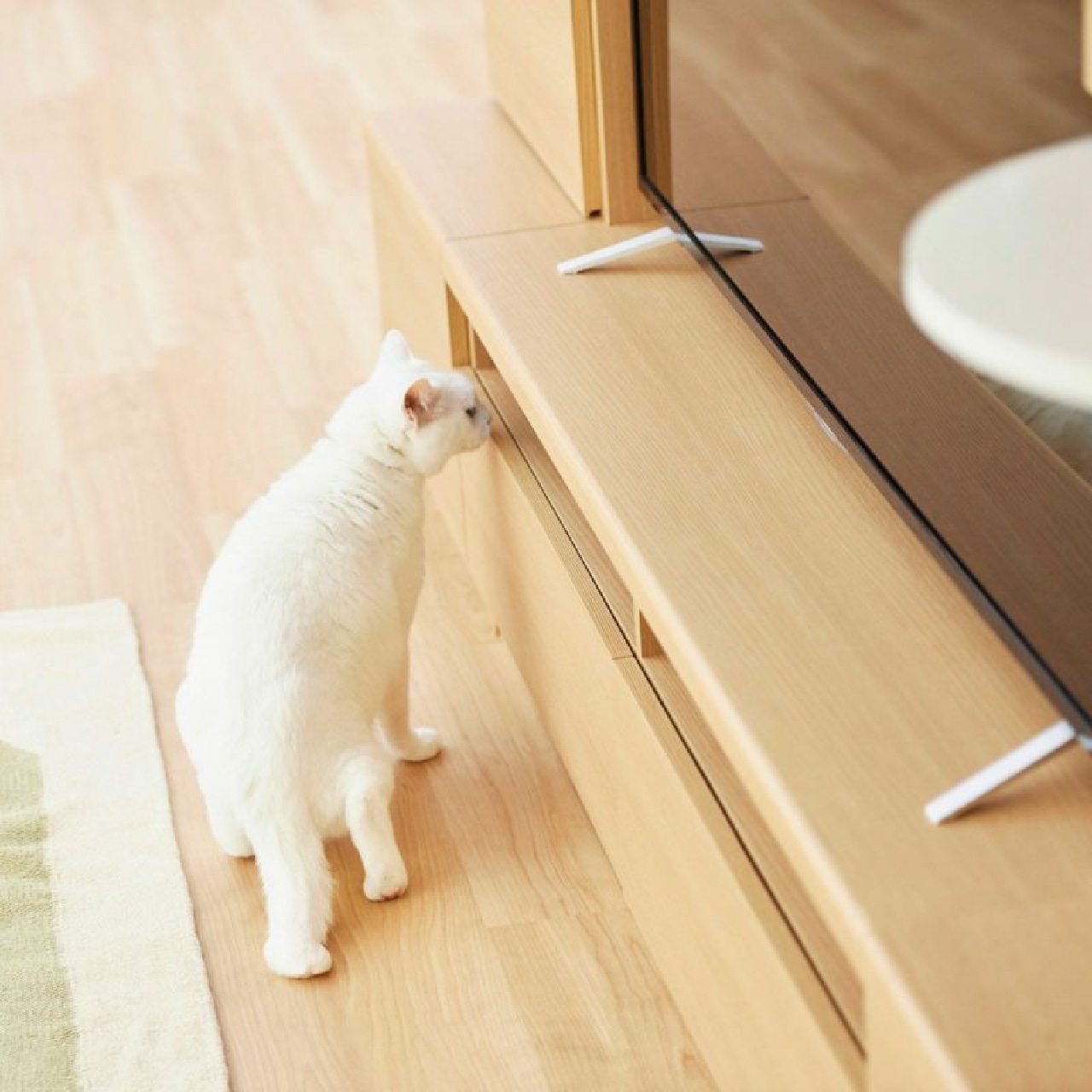 ニャコモ テレビ台 NCM-1813H NA