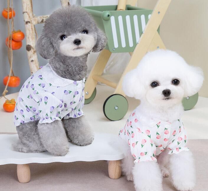 【予約】№1102898 フラワーレースブラウス