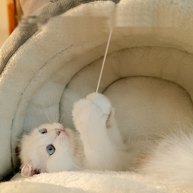 猫小屋・四季利用可・Sサイズ（送料無料） | littleone