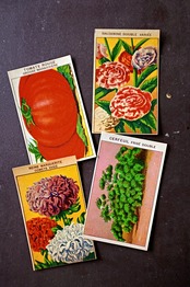 20s フランス 4set 膨満な花々と野菜たち 種子袋用ラベルr アンティーク