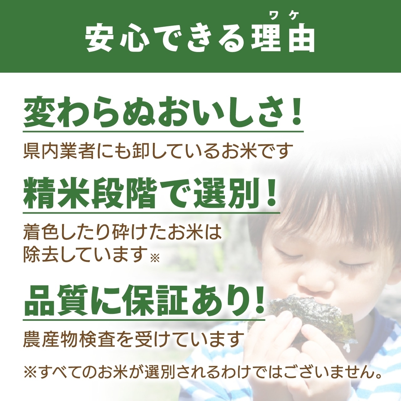 家庭を応援！ふるさと安来応援米 BG無洗米 島根県産米 10kg（5kg×2袋）送料込み