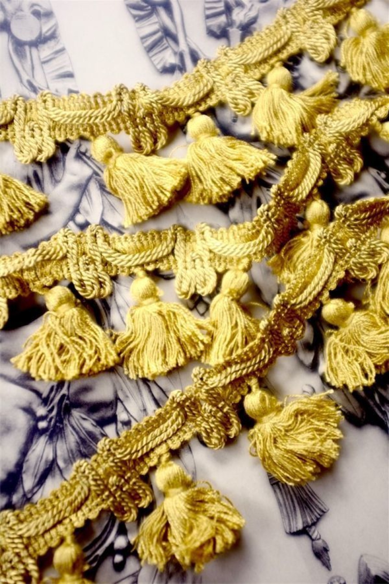 France antique100x4.5c 秘密裏のサーカスタッセルブレード