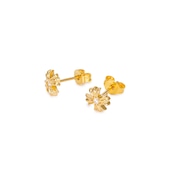 STUDS PIERCE GOLD