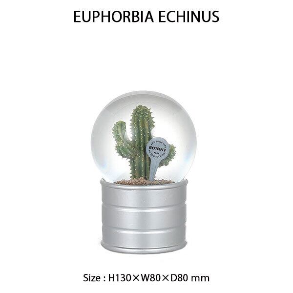 PLANTS WATER GLOBE Mサイズ 2種類 プランツ ウォーター グローブ