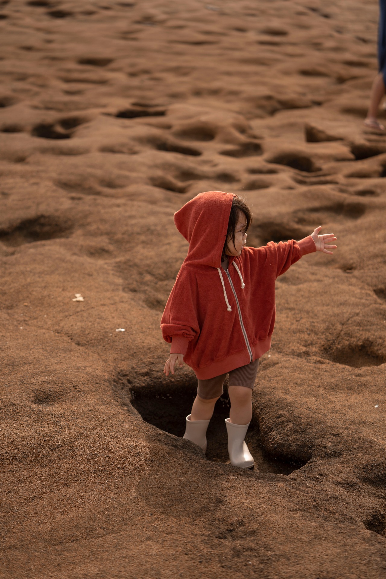 【AW26ご予約】EARTH THE ARCHIVE / Volume hoodie
