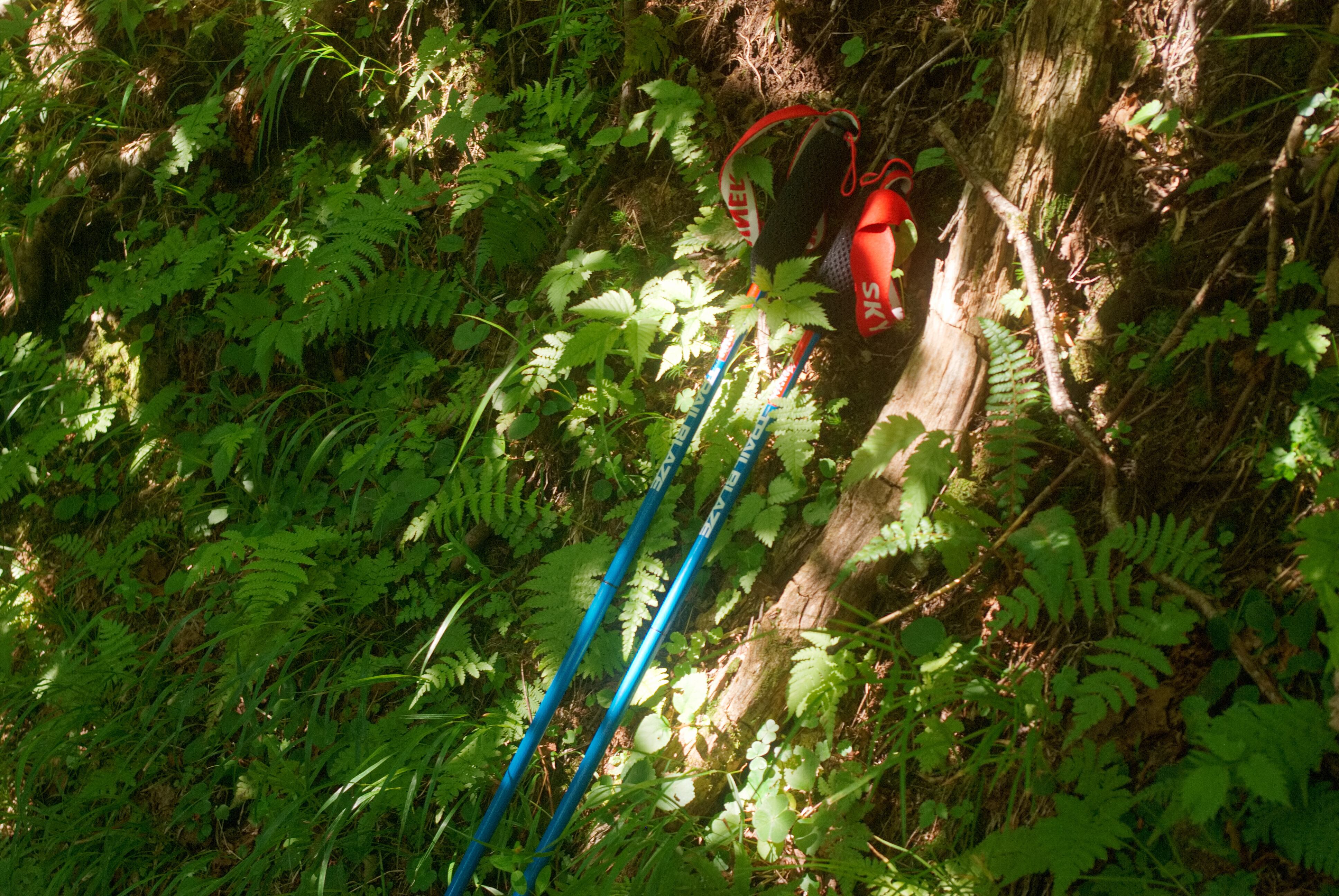 MOUNTAIN KING(マウンテンキング) SKYRUNNER RACEDAY