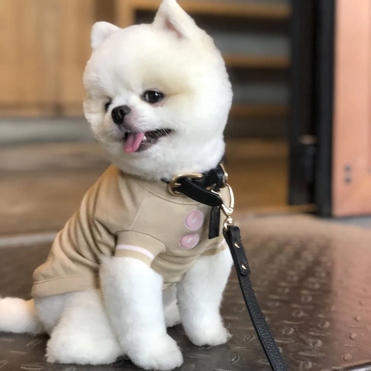 T-SHIRT WITH BOWLS PATTERN(Apricot)/ OVER GLAM