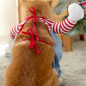 【PET】おもしろいチャッキー仮装