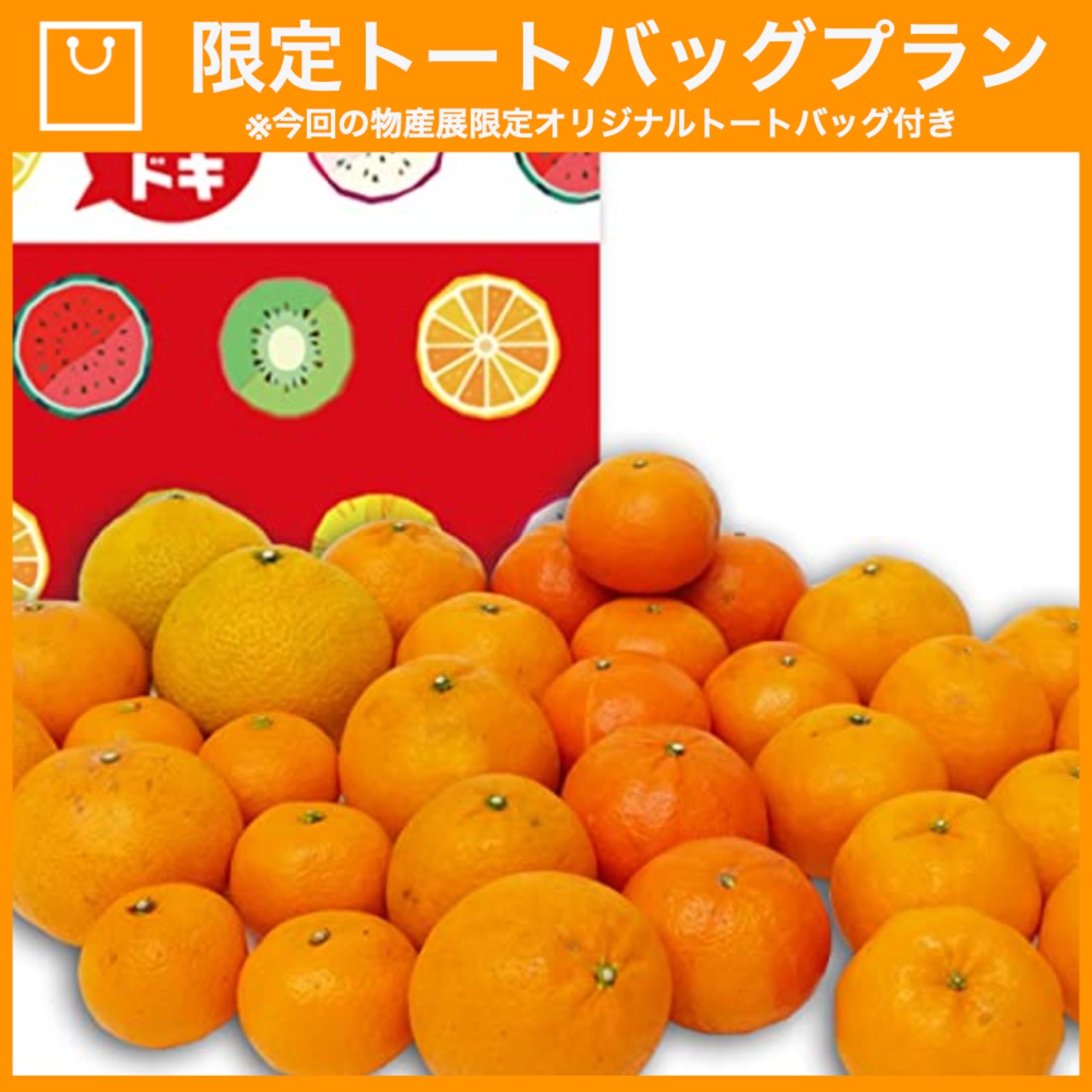 【特典つき】旬の柑橘セット 5kg【河内晩柑、紅甘夏、日向夏、なつみ、清美　などから3種類以上】