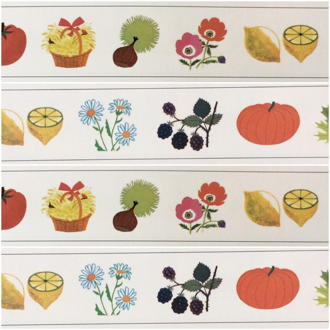 mt マスキングテープ Alain Grée / 植物 | Macaroni