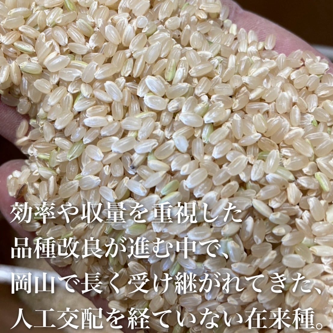 自然栽培 朝日米 5kg｜無農薬｜玄米・分づき米・白米｜岡山県倉敷産