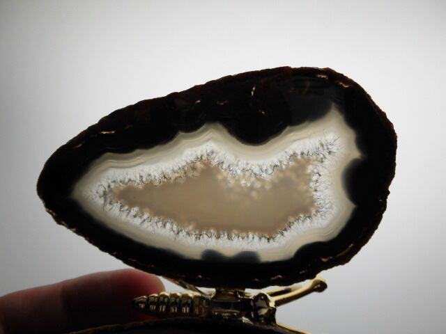 【瑪瑙】　ゴージャス蝶々　no.3