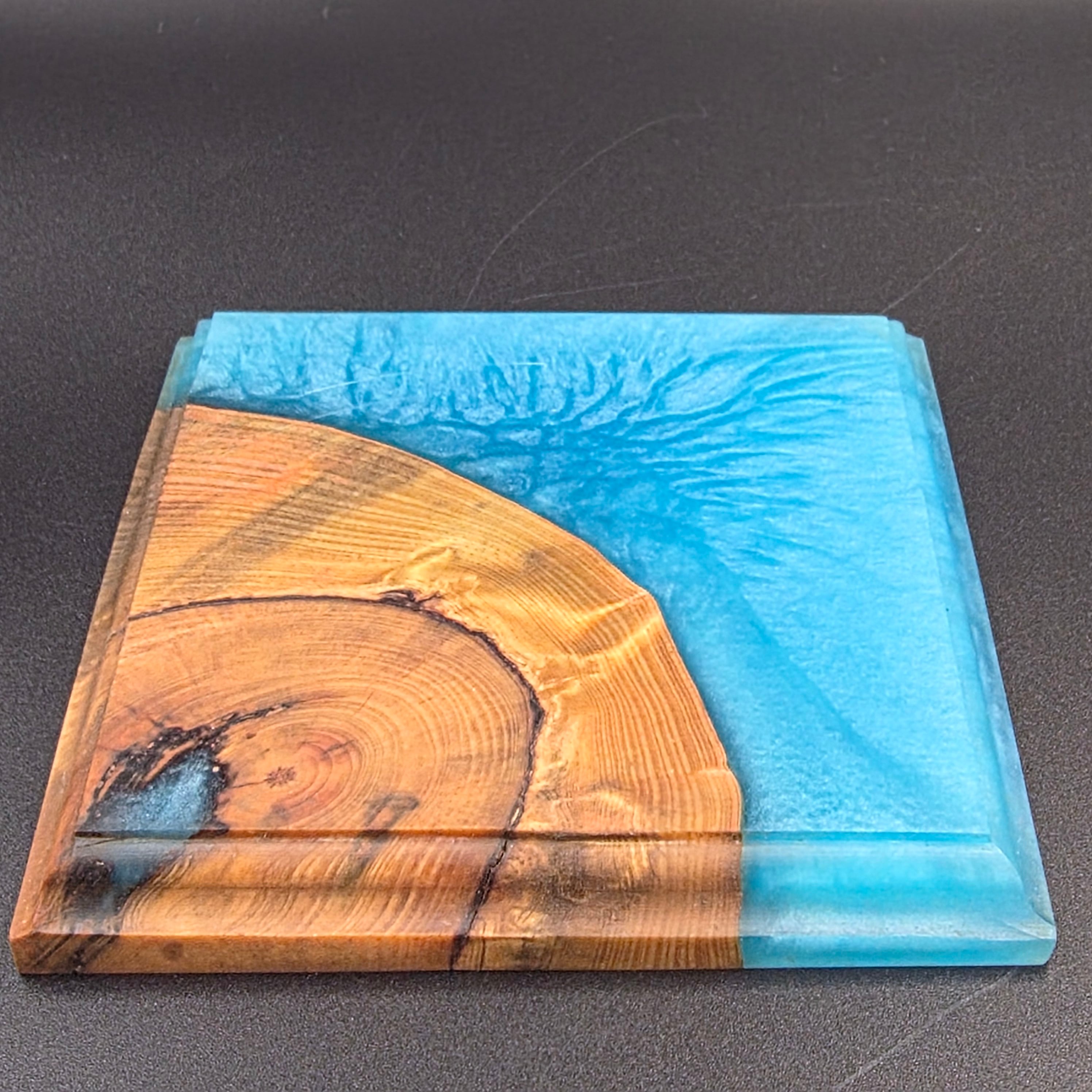 BOTANICA ウッドレジン 鉢台 / リバートレイ (一点物) | BRIDGE GARDEN