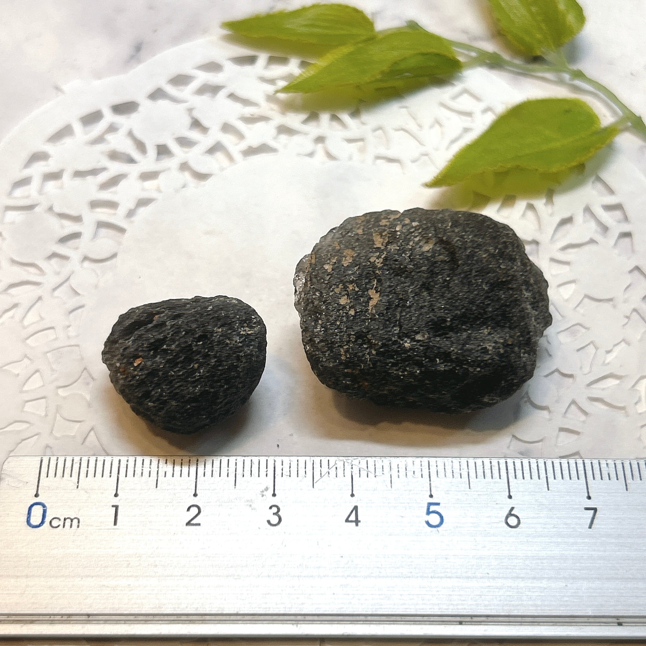 ⭐テクタイト（隕石起源の天然ガラス） | クリスタル・ワールド御徒町店