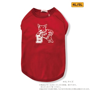 ブルテリア 犬用Tシャツ　エンジ4L/5L