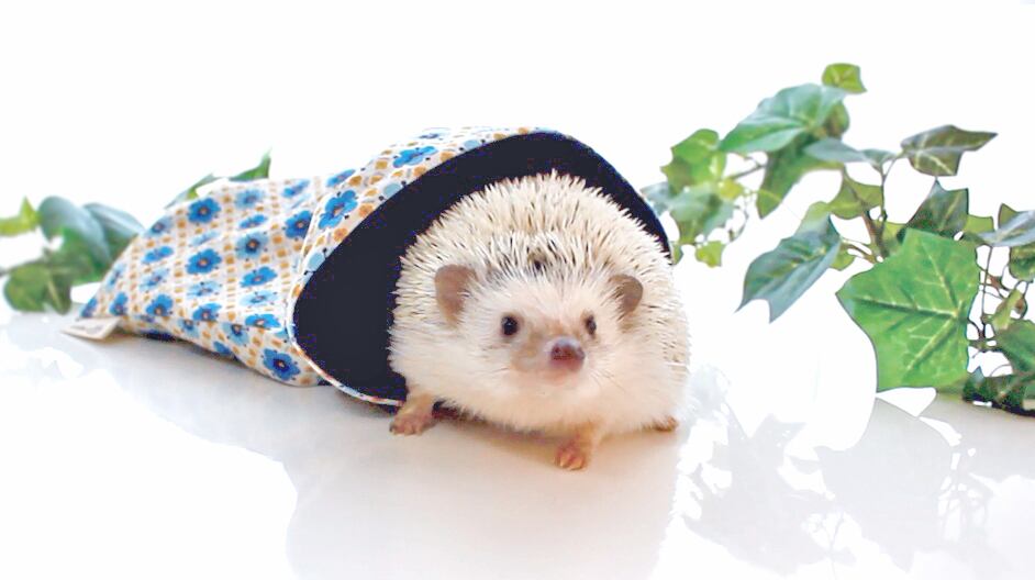 ハリネズミ寝袋 ご専用 ハリネズミ用寝袋 M（夏用） 綿ツイル×スムース