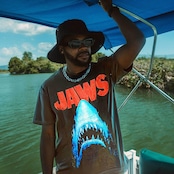 JAWS 3【予約商品:7月2日より順次発送】
