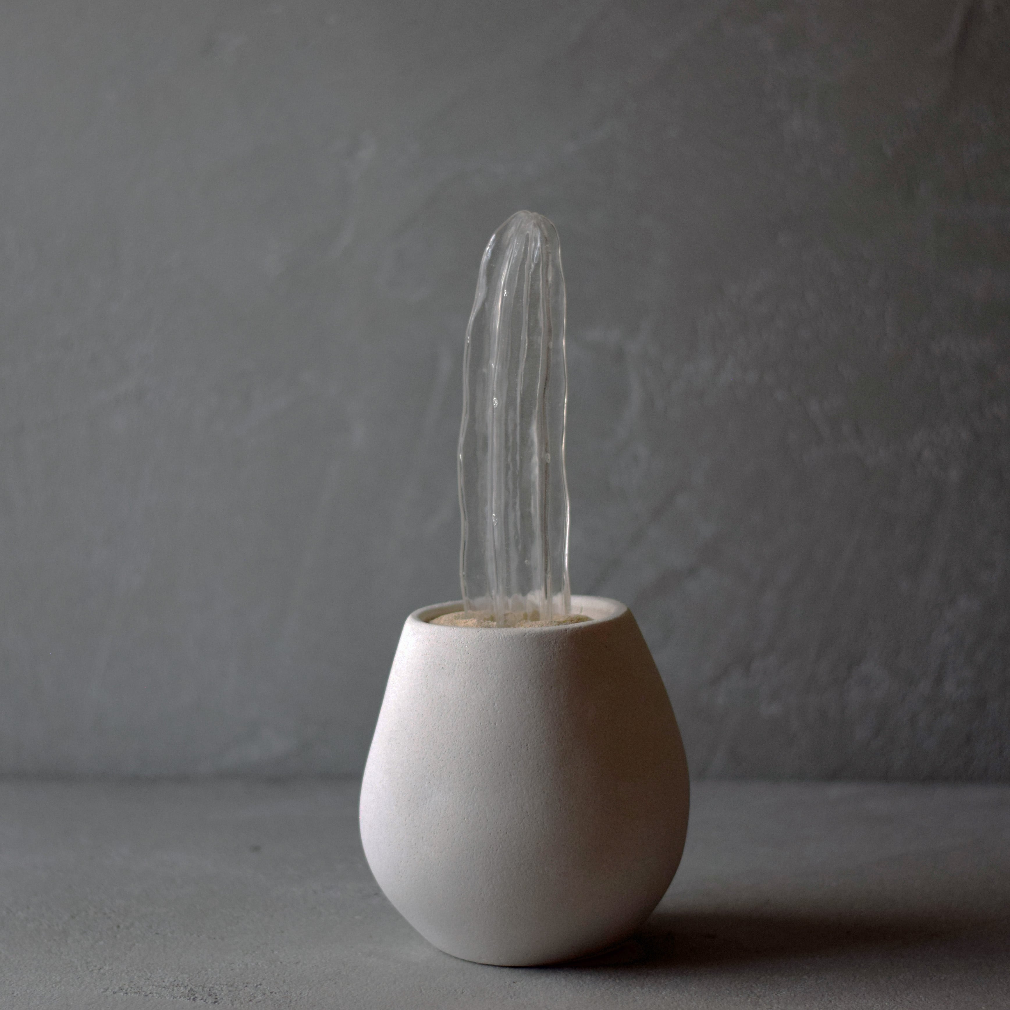 透明サボテン 001 | Sabotensi