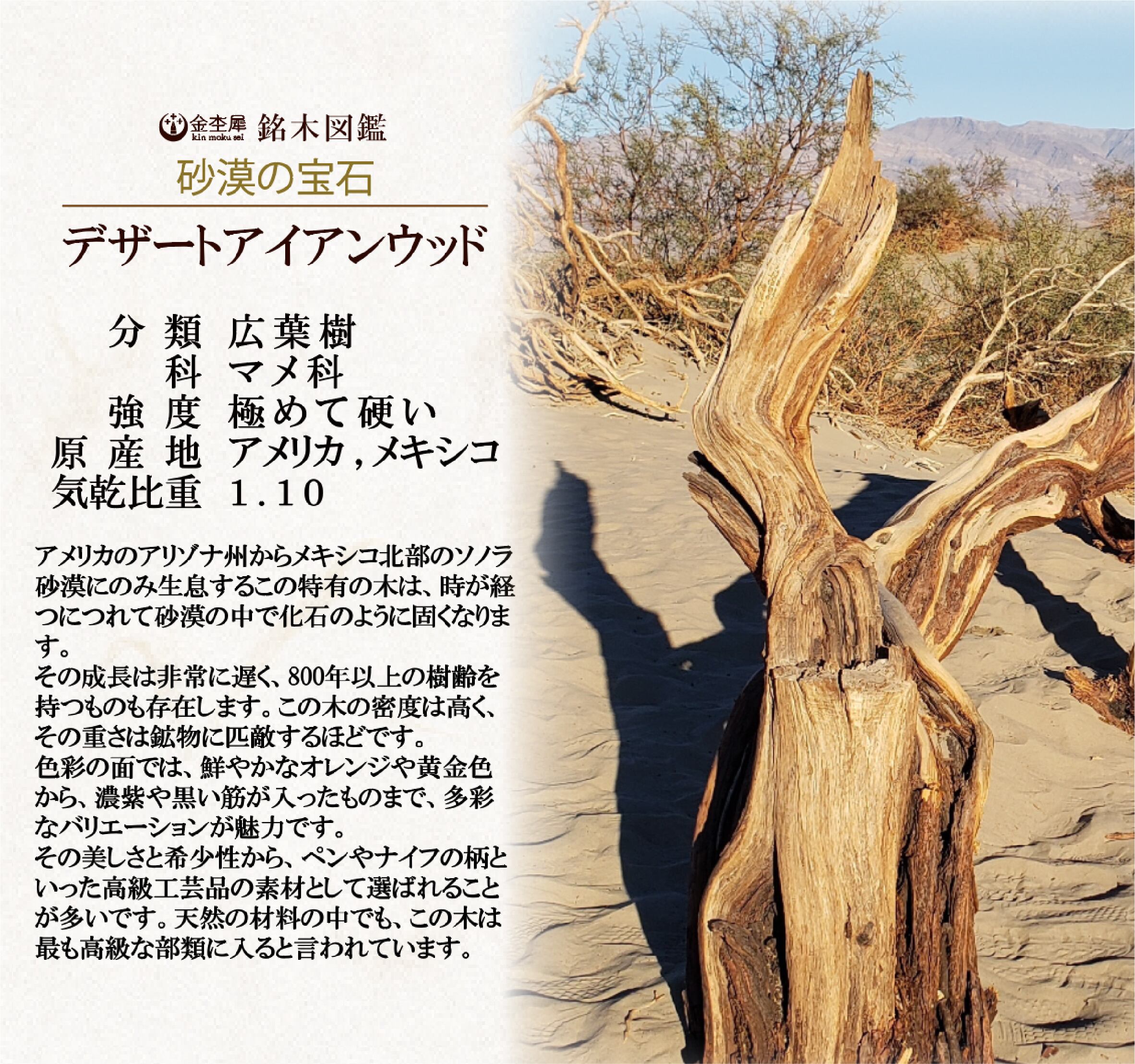 砂漠の宝石】デザートアイアンウッド ツイスト消しゴム gold | 木軸