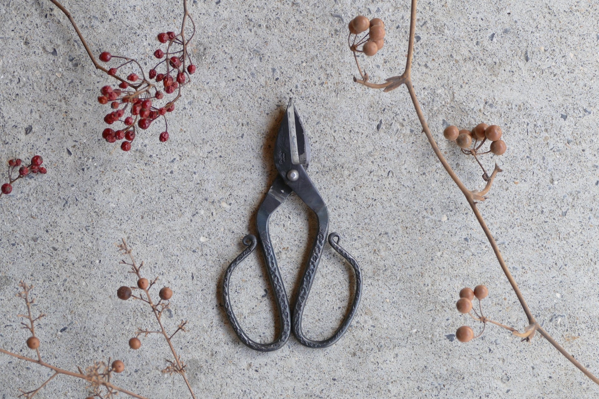 TAjiKA Branch & root shears | nishinohara online store nakaniwa