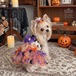 予約【№B08937】スパイダーウェブ　ハロウィン チュール　ワンピ