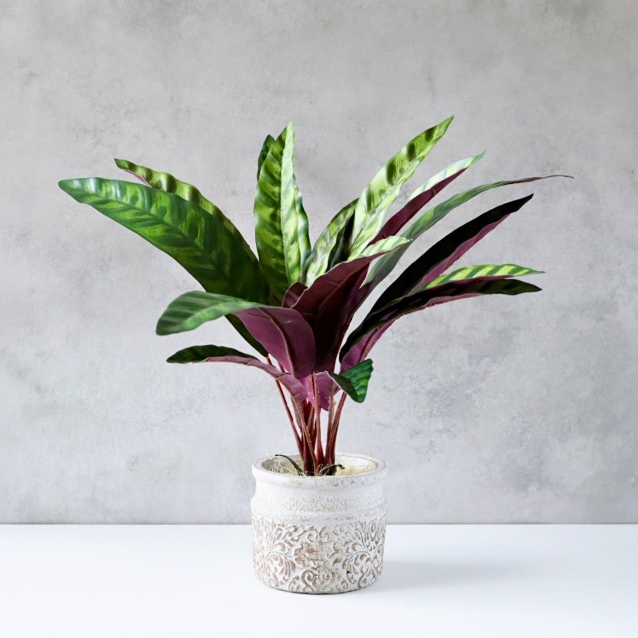 カラテア フェイクグリーン 人工観葉植物 ゼブラ柄 観葉植物 コンクリートポット 卓上 インテリアグリーン 北欧モダン