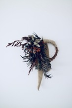 グレビレアのリース