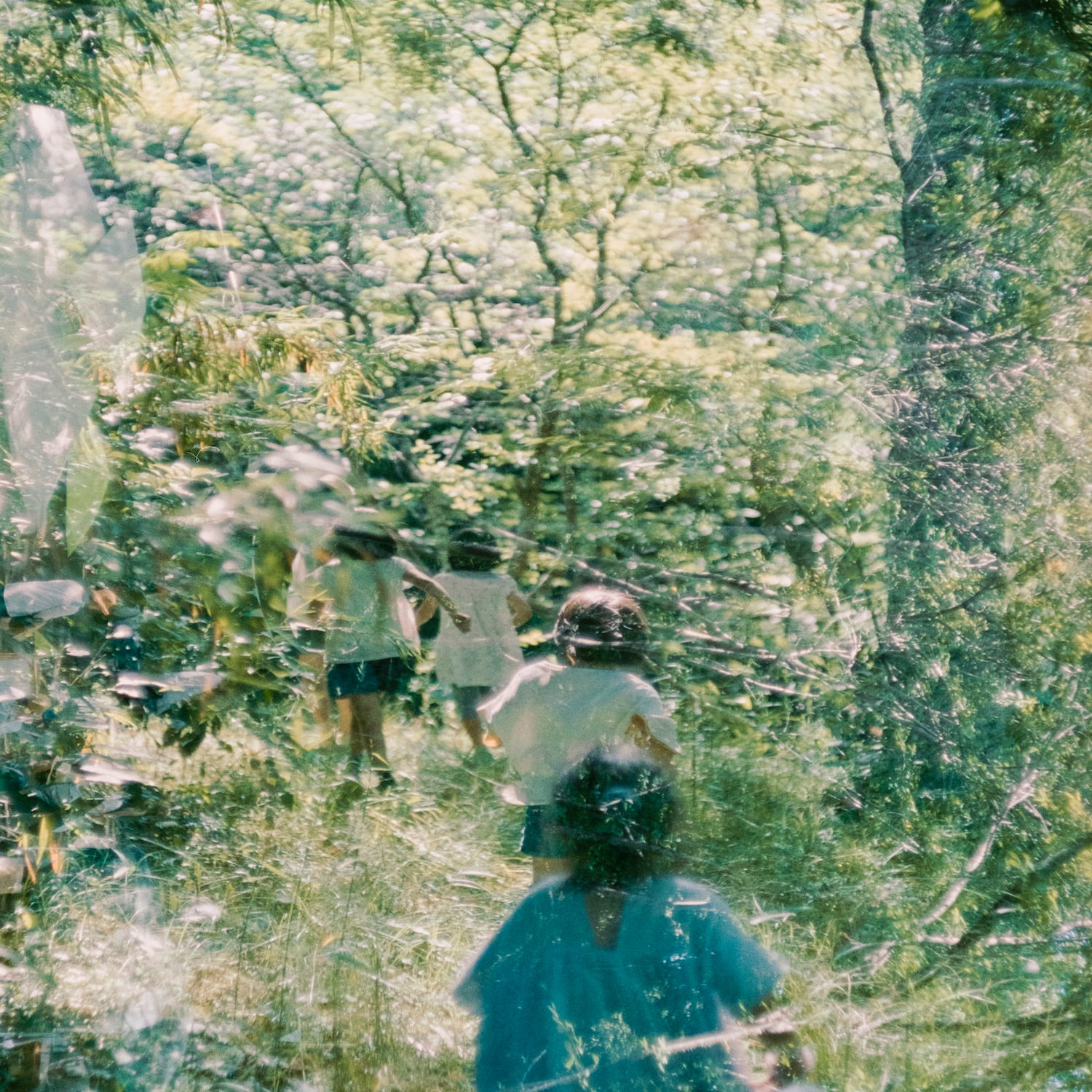 cda77357572cd2c2c270b6c891fcd9