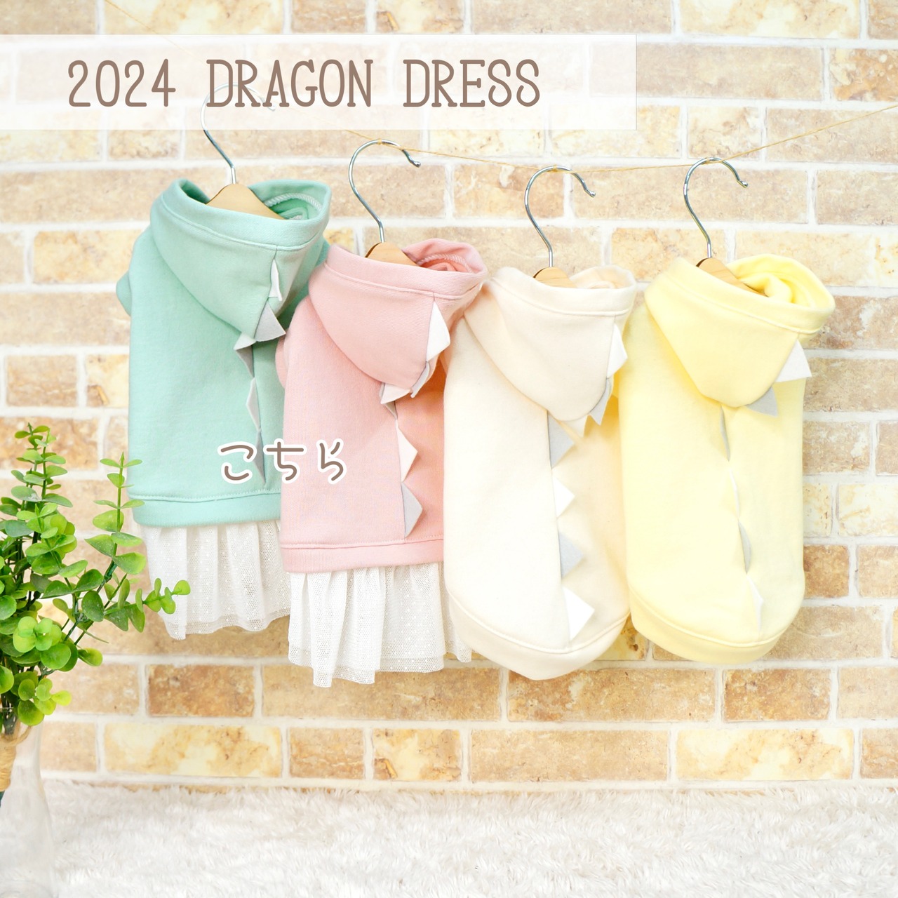 Dragon Dress 2024