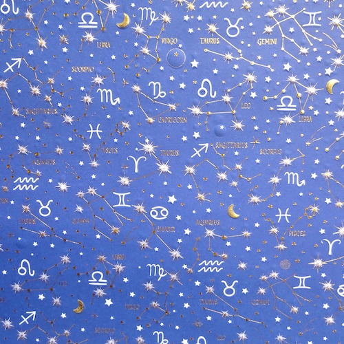 装飾紙 ペーパー TURNOWSKY GW9785B 約50x70cm